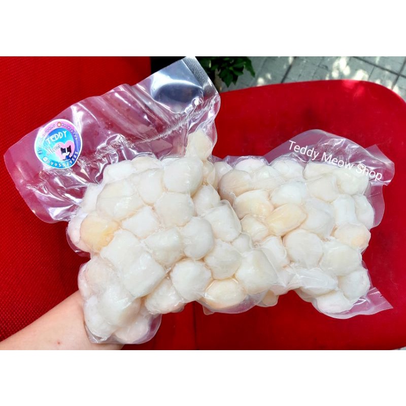 1KG - TÚI HÚT CHÂN KHÔNG PA/PE ĐỰNG CỒI SÒ ĐIỆP