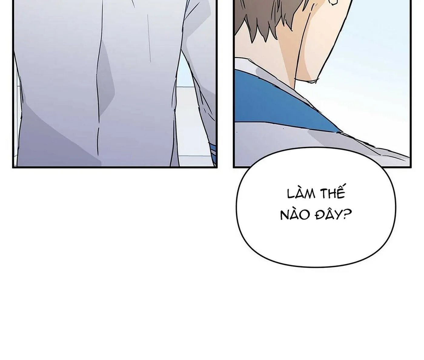 guide cấp b chapter 4 119