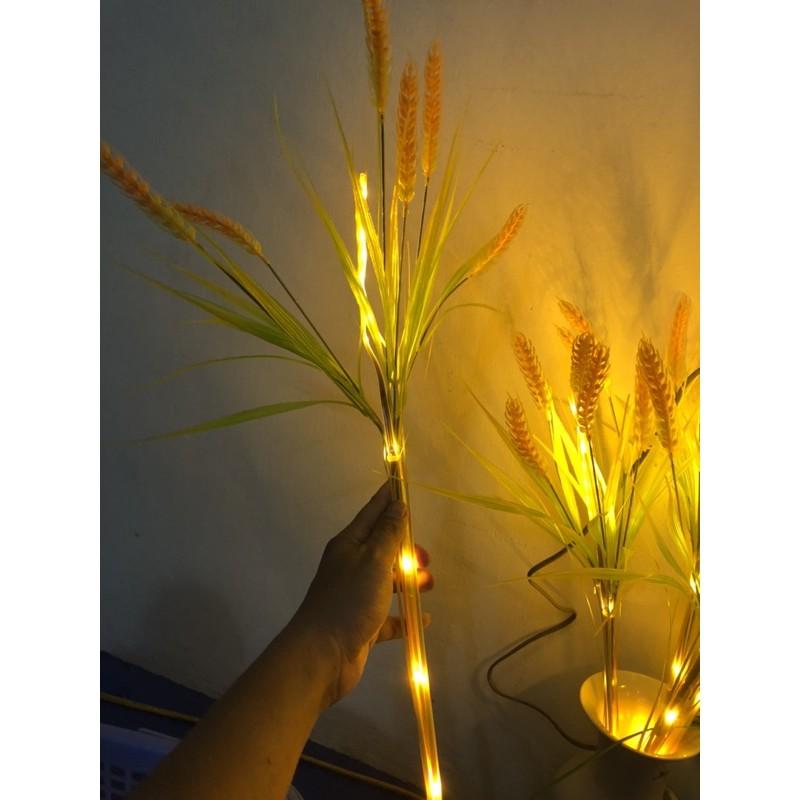 Đèn led bông lúa,đèn led luá mạch,đèn sân vườn