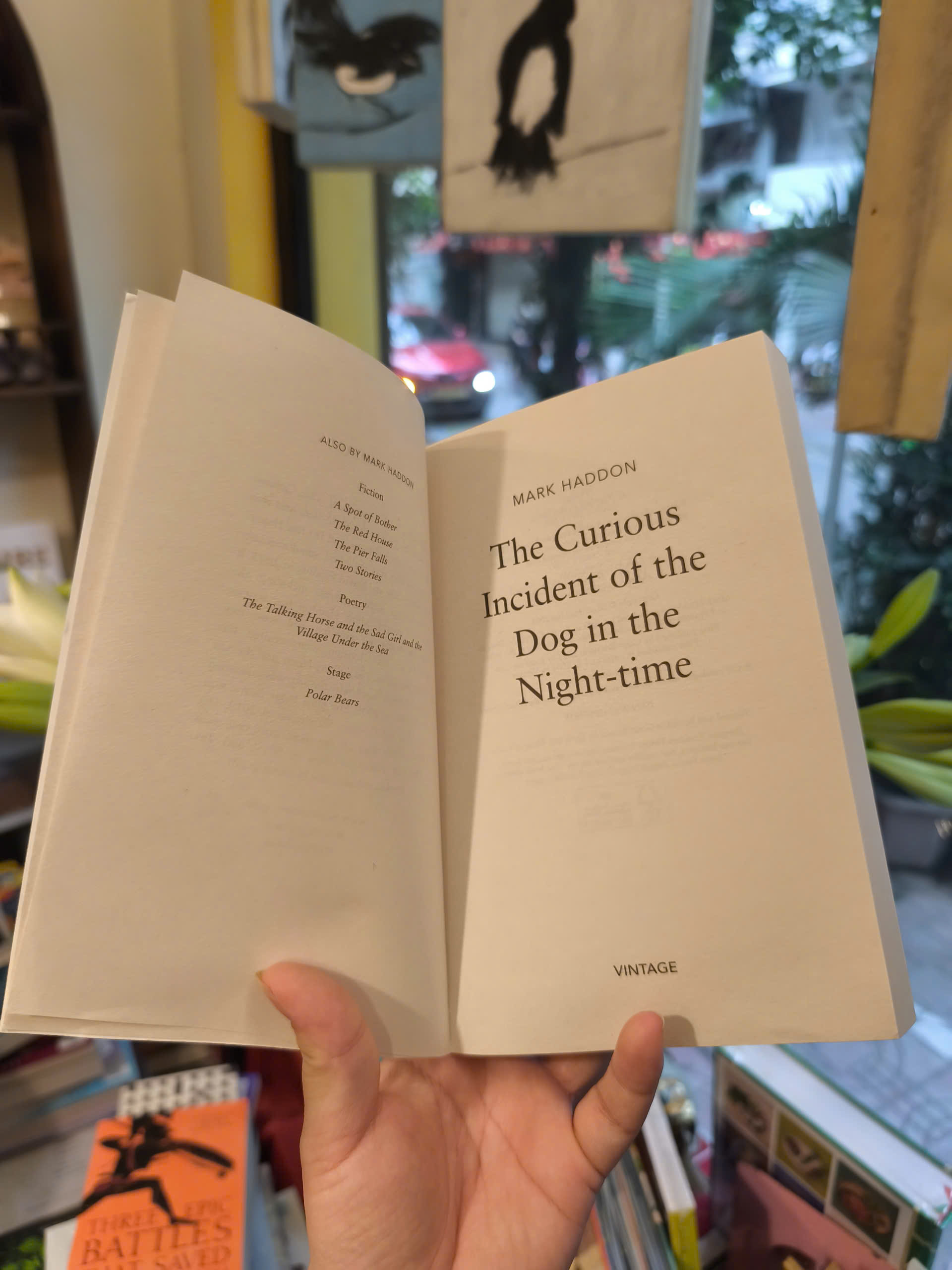 Sách - The Curious Incident of the Dog in the Night-Time by Mark Haddon | Mystery / Ngoại văn