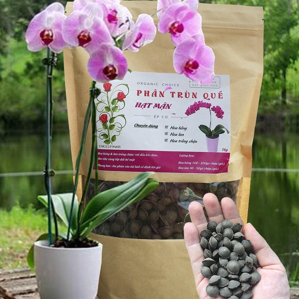 Phân trùng quế hạt mận VERNUTS cho lan và hoa hồng bịch 1kg