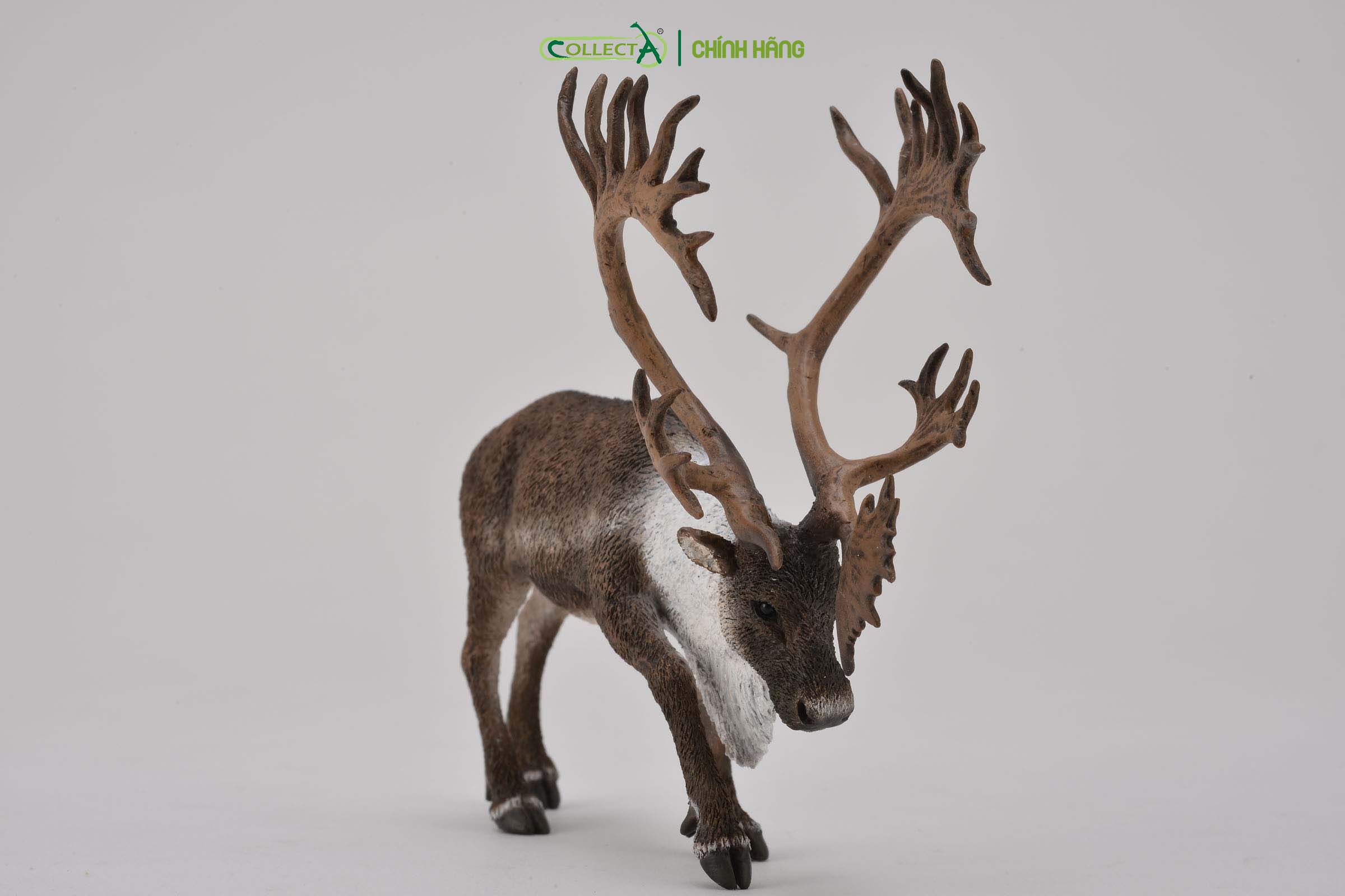 Mô hình thu nhỏ: Tuần Lộc - Woodland Caribou , hiệu: CollectA, mã HS 9651430 - Chất liệu an toàn cho trẻ - Hàng chính hãng