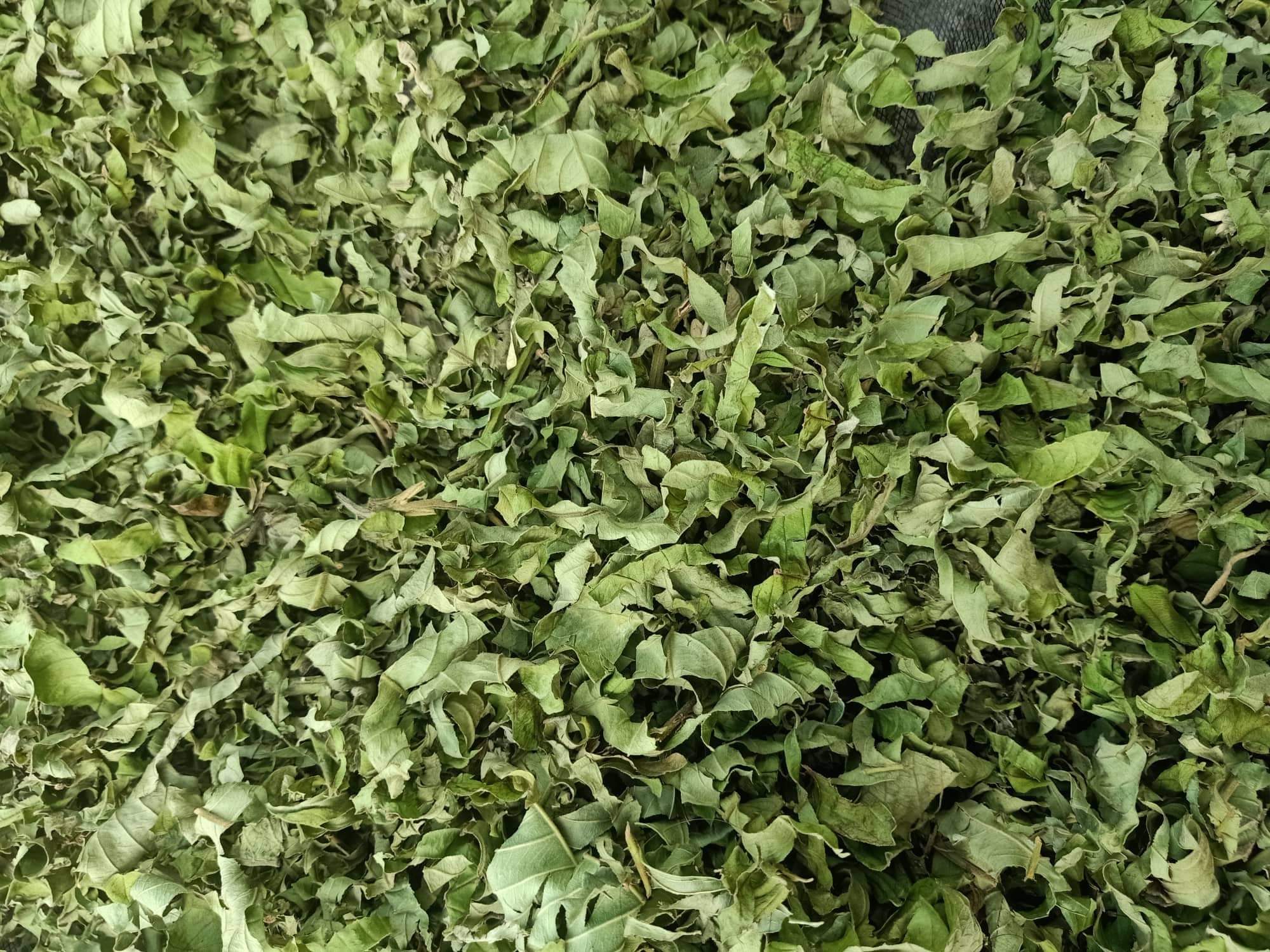 Đọt ổi cắt nhỏ