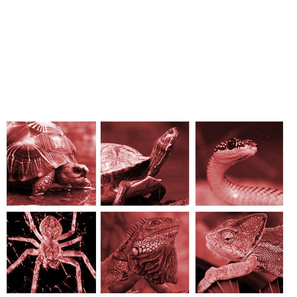 Heating Infrared Lamp Emitter Lamp Bulb E27 Red 25W