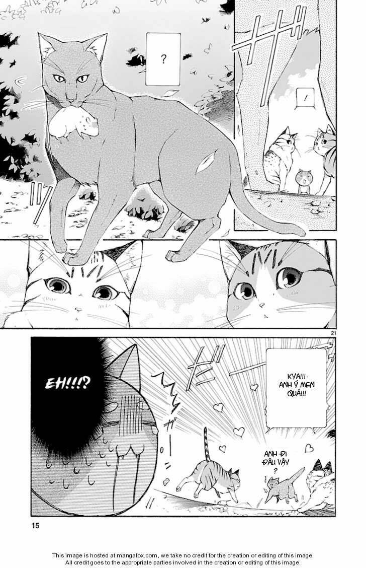 nyankoi! chapter 26 21