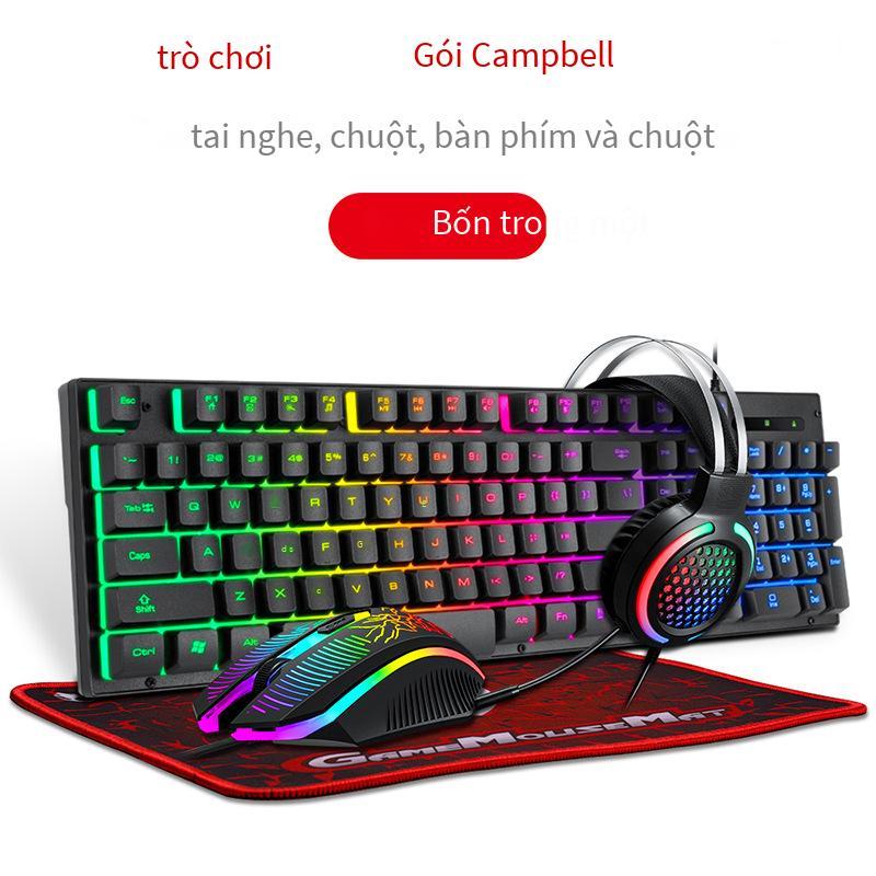 Phong Cách Mới Nhất Thunder Wolf T31 Bàn Phím Chuột Tai Nghe Bộ Ba Bộ Bốn Bộ Trò Chơi Game Máy Tính Xách Tay Máy Tính Để Bàn