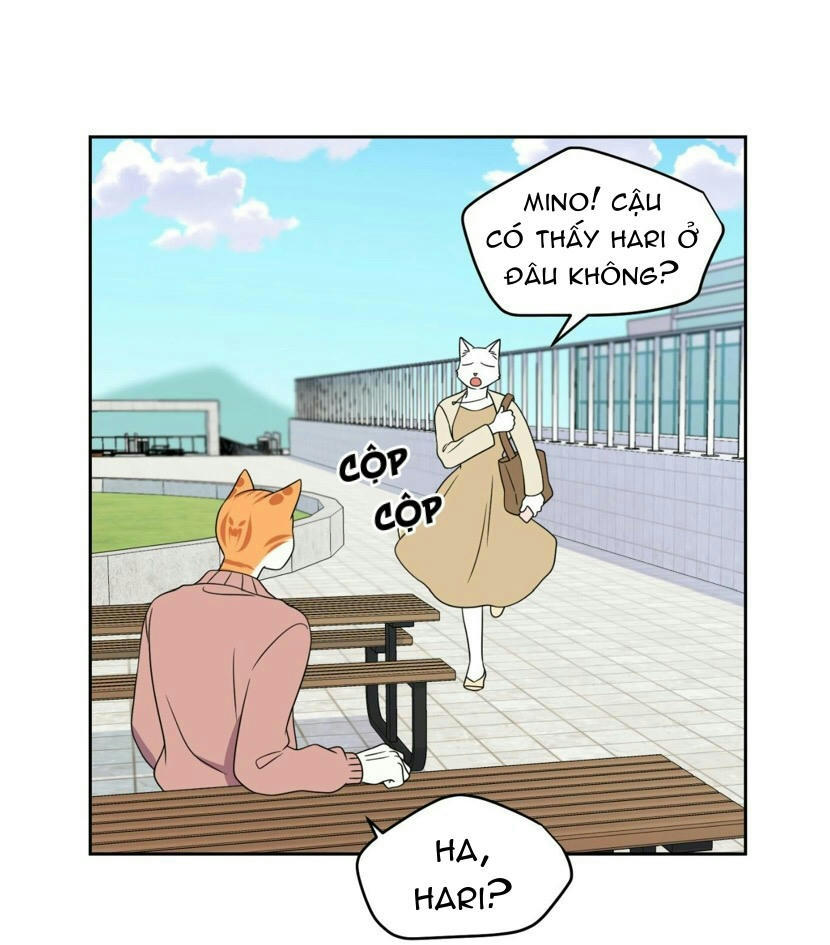 dự án xanh chapter 20 68