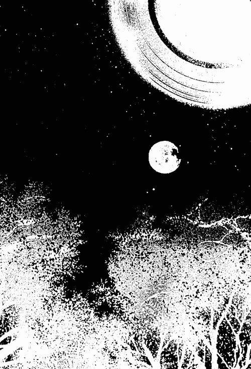 chuyện tình đảo thiên đường chapter 10 2