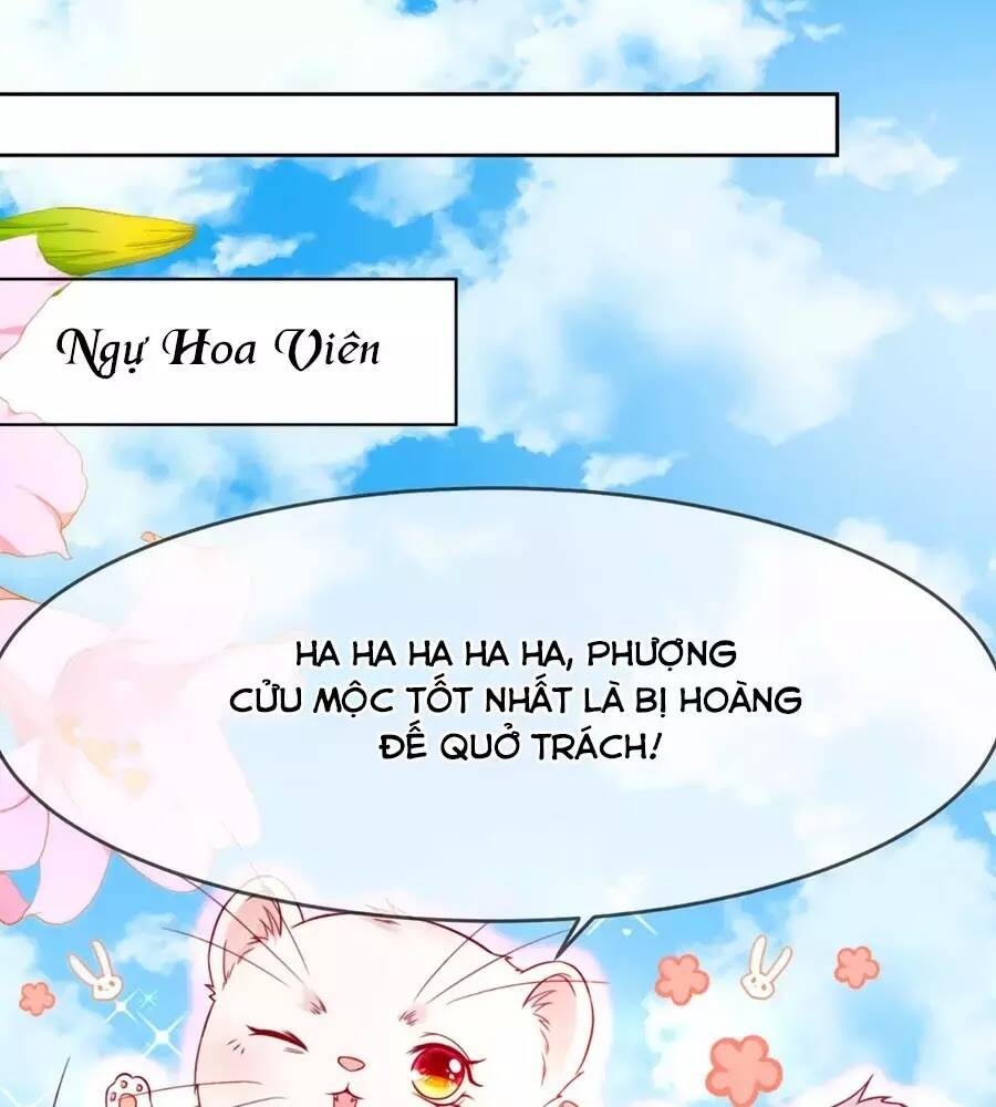 dưỡng thú vi phi chapter 5 1