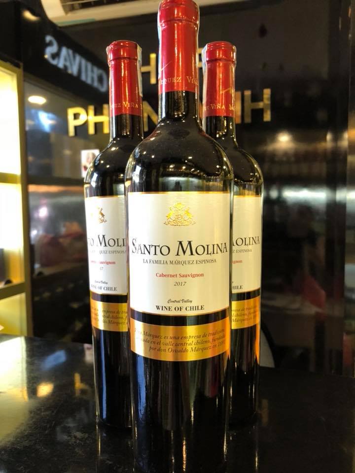 Rượu vang Chile Santo Molina