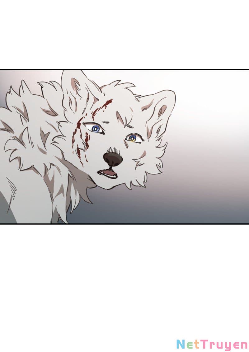 lumine - cội nguồn ánh sáng chapter 78 15