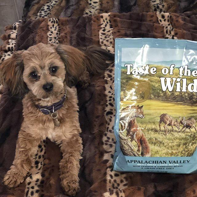 Thức Ăn Cho Chó Poodle Taste Of The Wild Bao 500g - Appalachian Valley Thịt Nai & Đậu Garbanzo