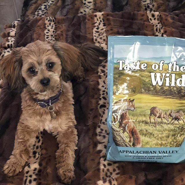 Thức Ăn Cho Chó Poodle Taste Of The Wild Bao 2kg - Appalachian Valley Thịt Nai &amp; Đậu Garbanzo