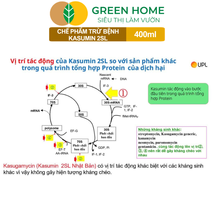 Chế Phẩm Trừ Bệnh KASUMIN 2SL GreenHome, Chai 400ml, Đặc Trị Đốm Lá, Thối Vi Khuẩn, Đạo Ôn Cho Cây
