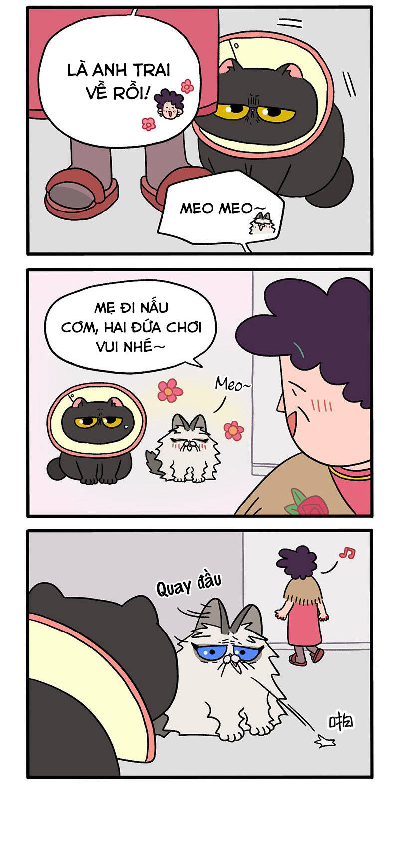 a mãn và mạch trà chapter 31 2