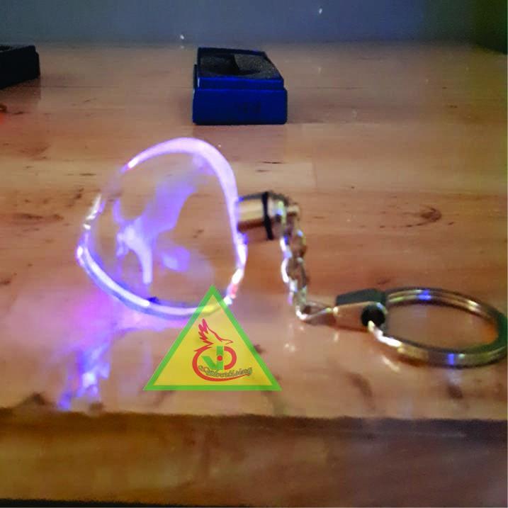 Móc khóa pha lê phát sáng khắc Hình Đại Bàng 3D_Quà tặng