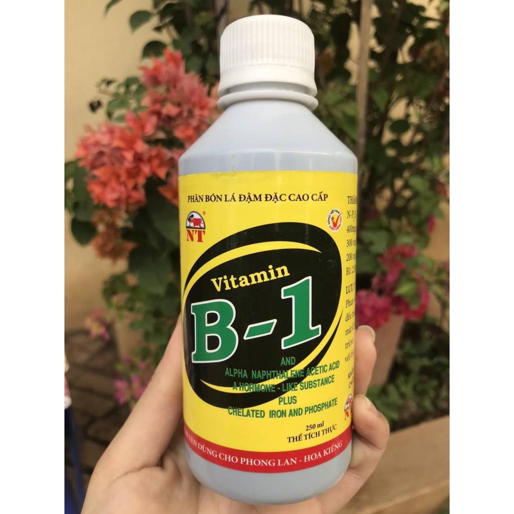 Phân bón lá đậm đặc cao cấp Vitamin B-1 chai 250ml