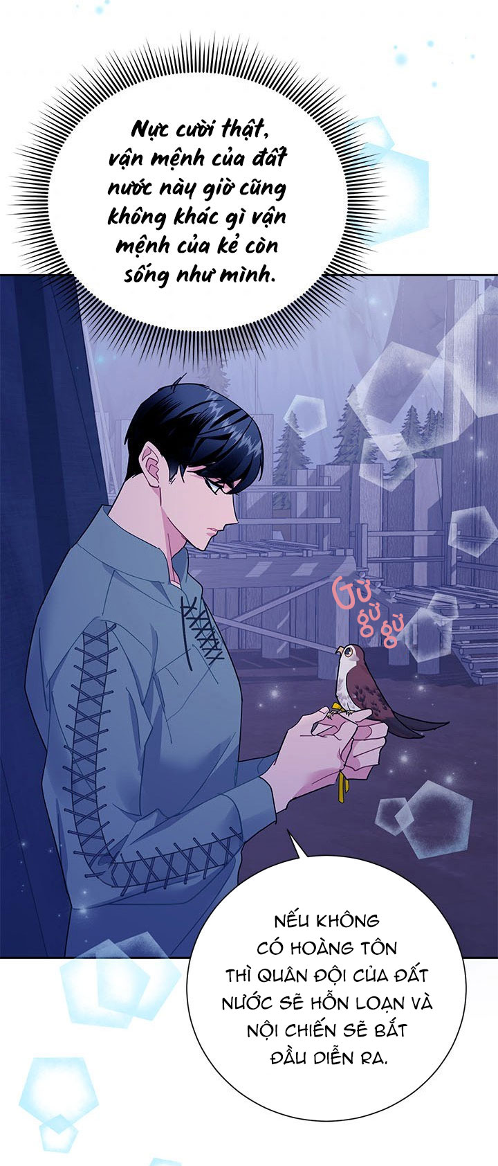 công chúa của loài chim chapter 29 32