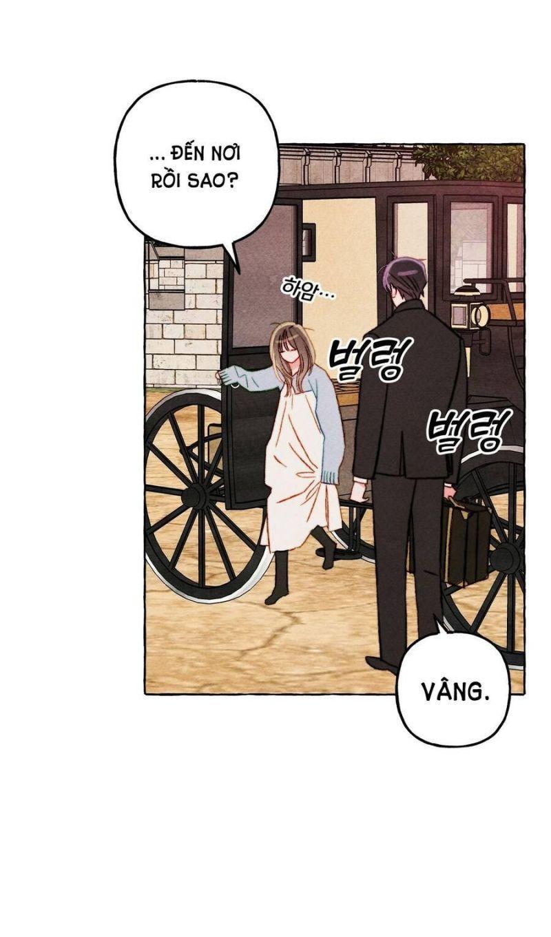 nuôi dưỡng một hắc long chapter 46.1 14