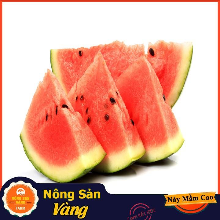 Hạt giống Dưa Hấu Hắc Mỹ Nhân