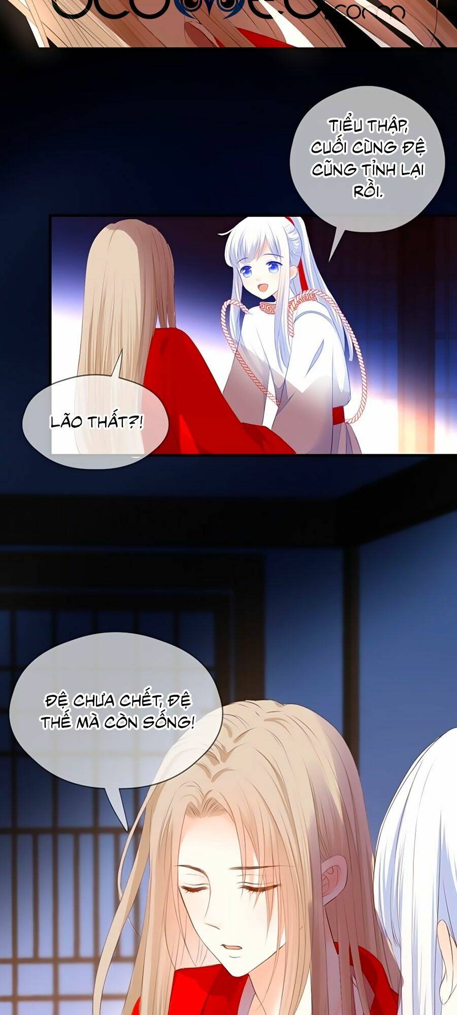 đóa hoa chớm nở chapter 75 3