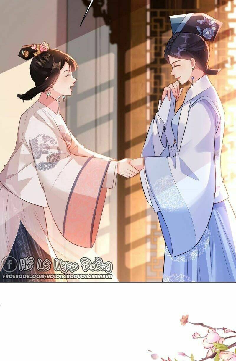 quận chúa vững vàng, thiết lập nhân vật không thể vỡ chapter 49 5