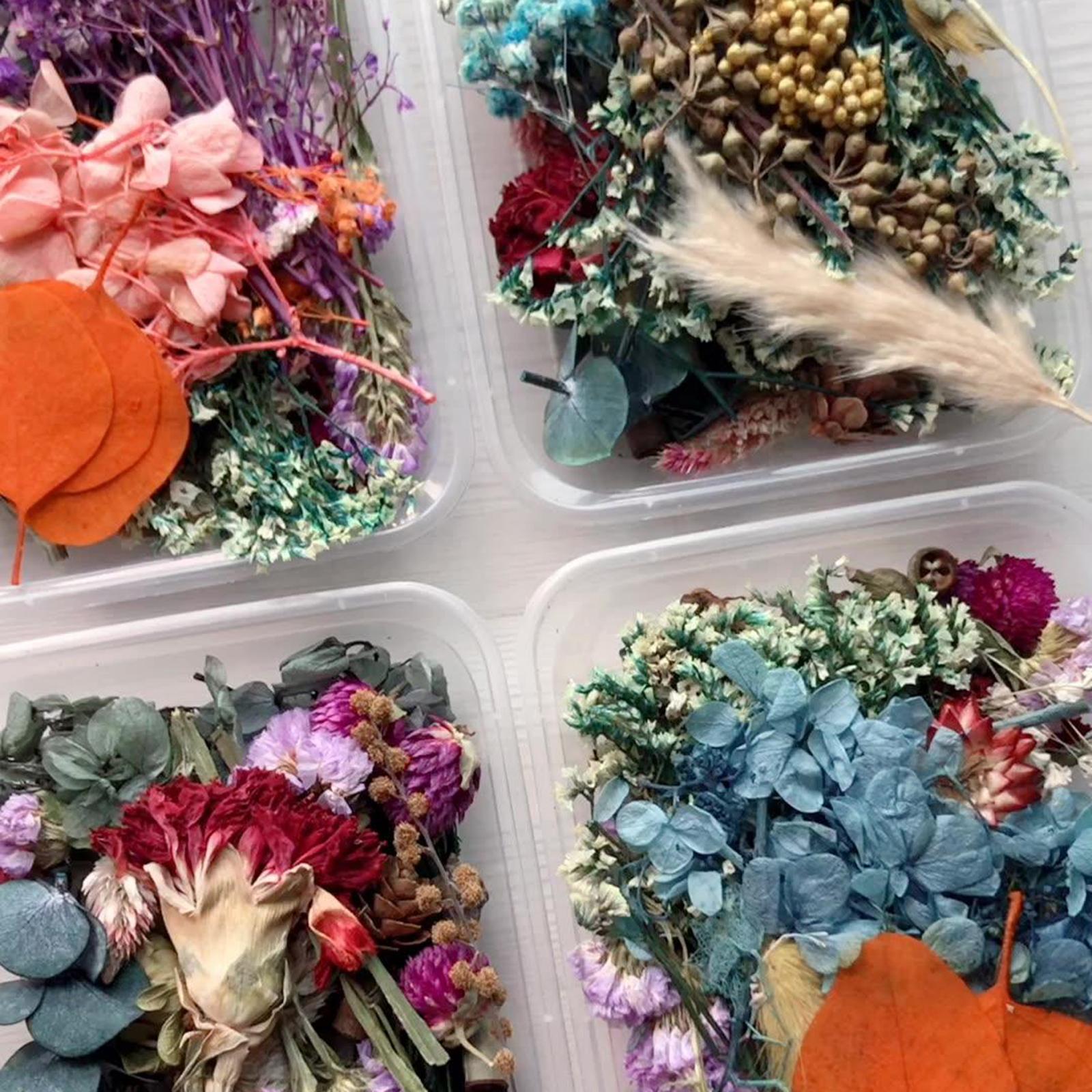 1Box Mix Natural Real Pressed Dried Flowers Petals Leaves Crafts Card Making