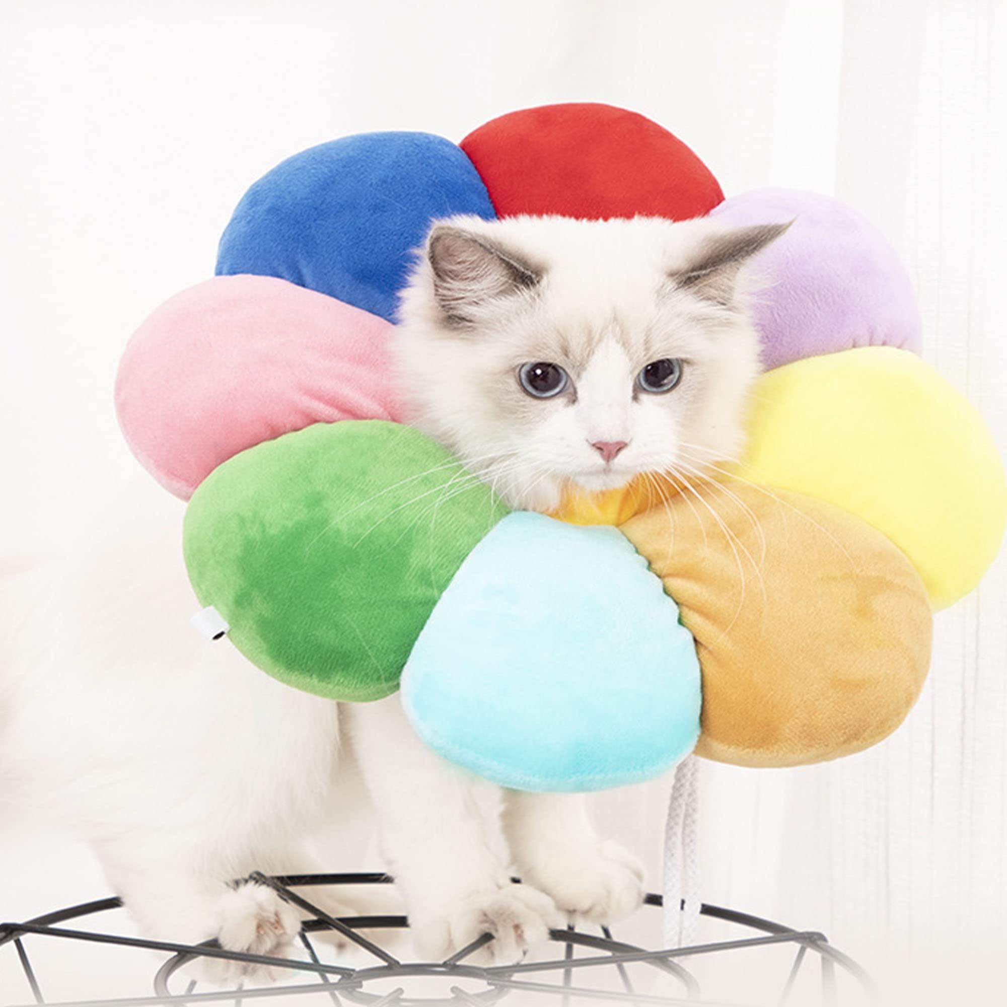 Bảo vệ rò rỉ cổ chó cho chó, chó đau bảo vệ rò rỉ chó, cổ áo mèo, chó phễu, phễu mèo, nước hoa bảo vệ mèo cho mèo, cổ áo cổ mềm