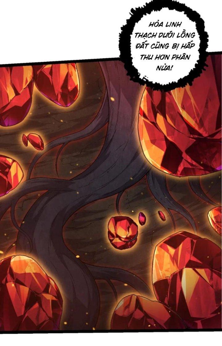 từ cây cổ thụ bắt đầu tiến hóa chapter 84 13