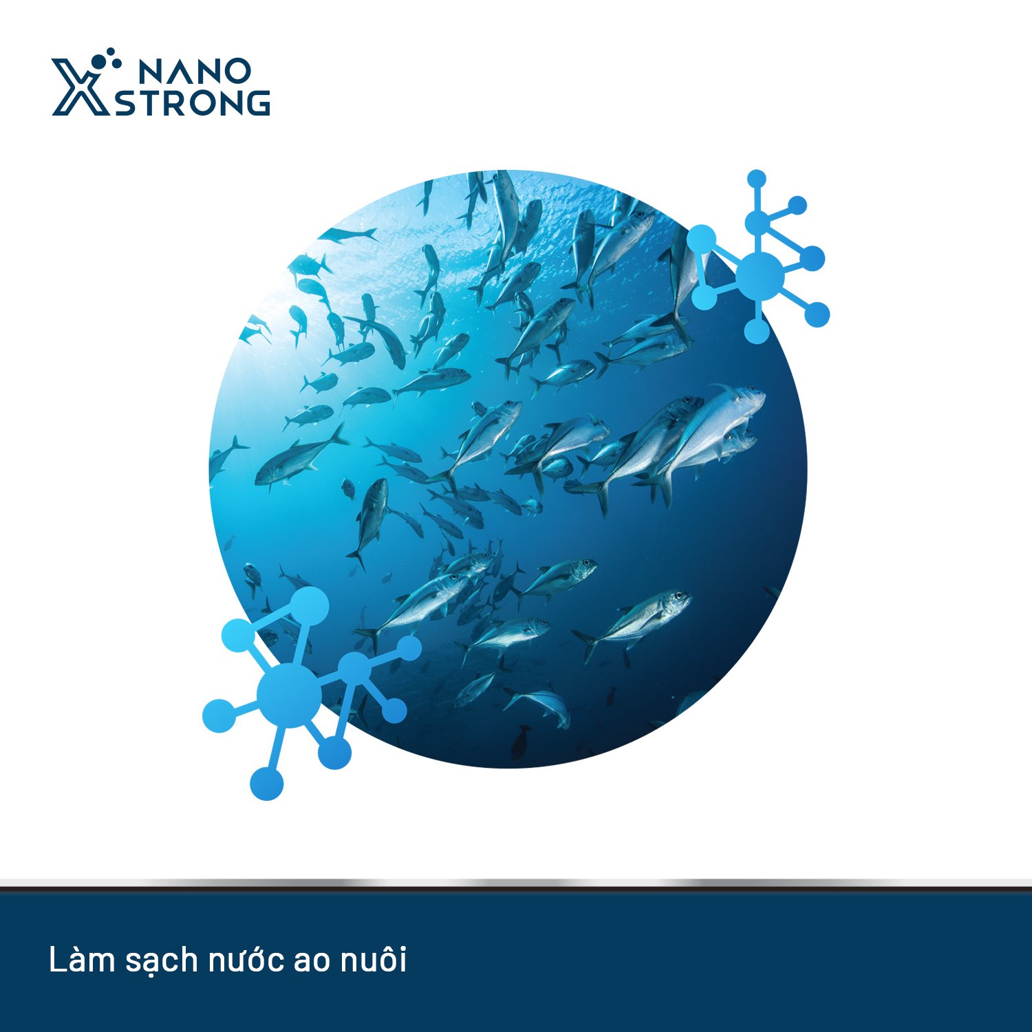 NANO BẠC NANO XSTRONG NANO SILVER THUỶ SẢN AHT CORP TRỊ NẤM CHO CÁ CẢNH, LÀM TRONG NƯỚC BỂ CÁ, AO NUÔI, KHỬ MÙI HÔI TANH, XỬ LÝ NƯỚC CHAI 1000ML