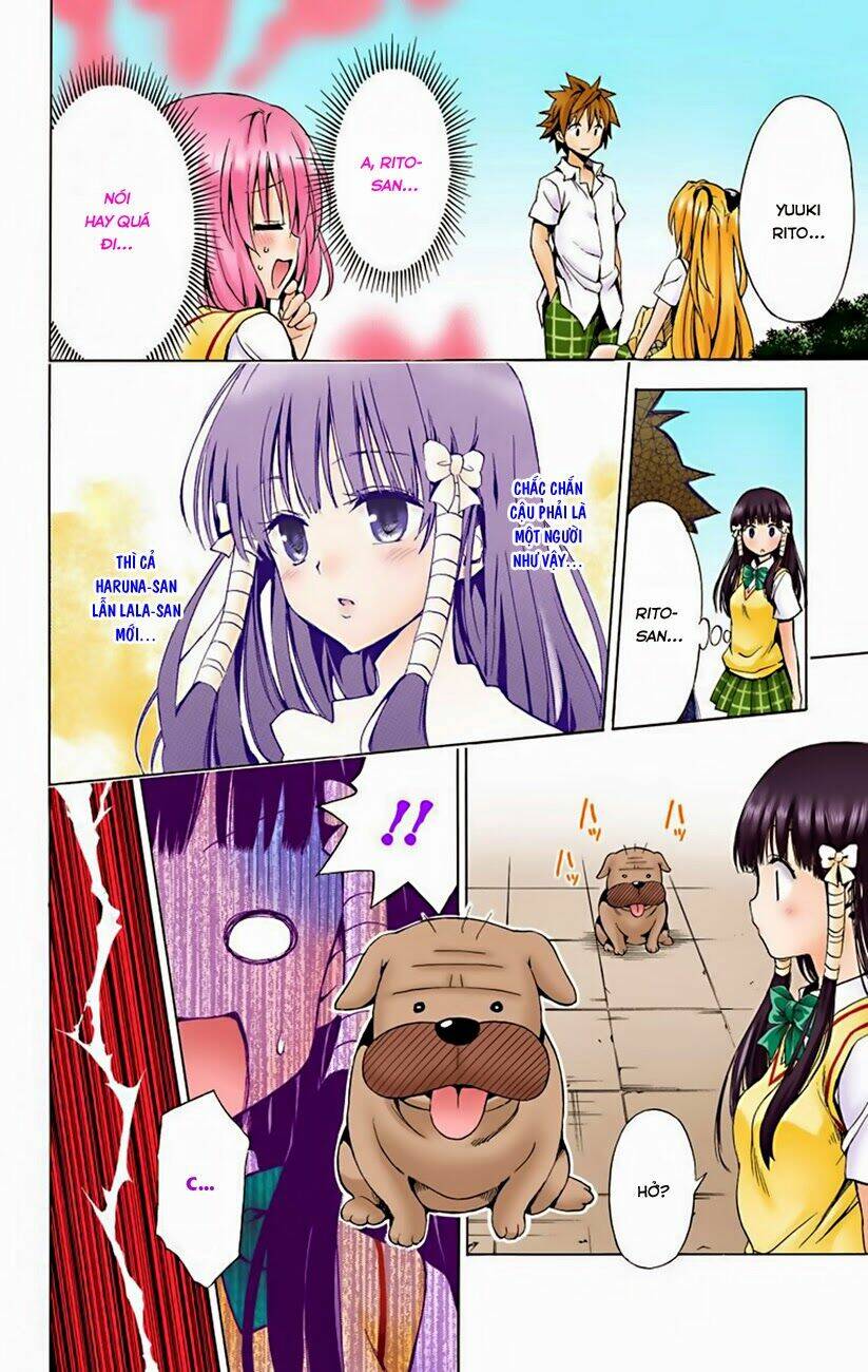 bọn tớ thích cậu! rito - digital color edition chapter 11 16