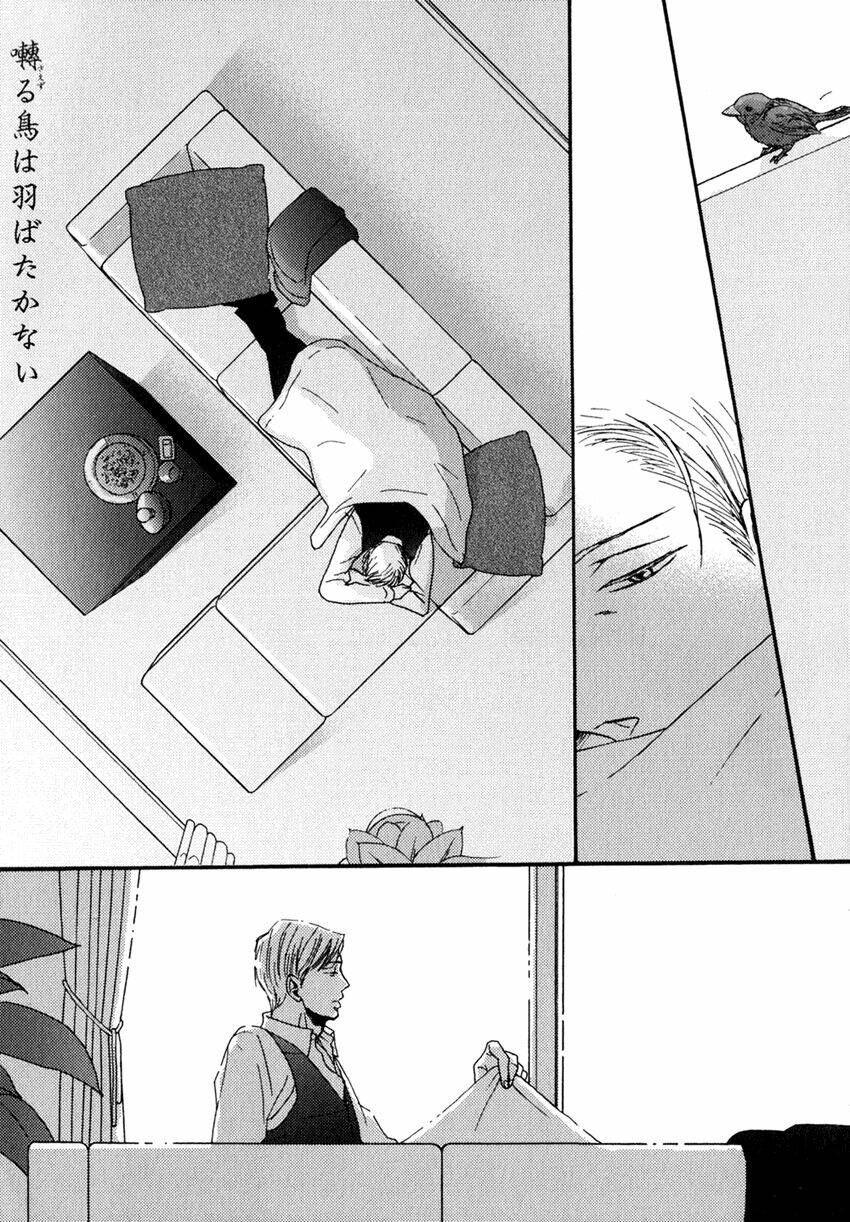 saezuru tori wa habatakanai chapter 5 3