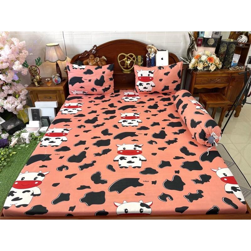 Drap thun hàn quốc