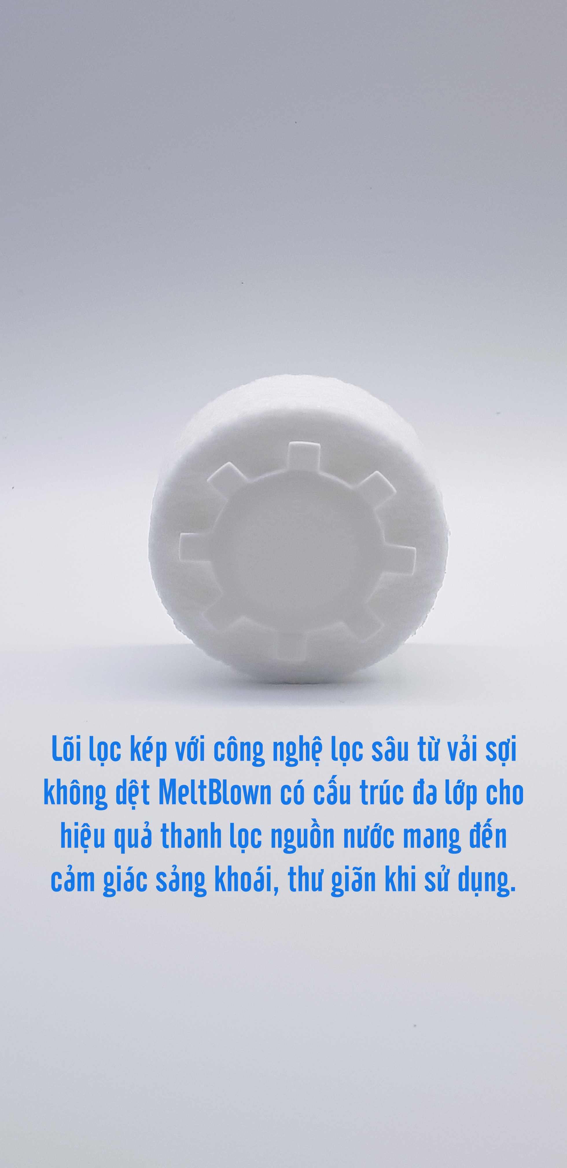 SET HAI VÒI SEN LÕI LỌC KÉP IONPOLIS V KÈM HAI LOẠI LÕI LỌC