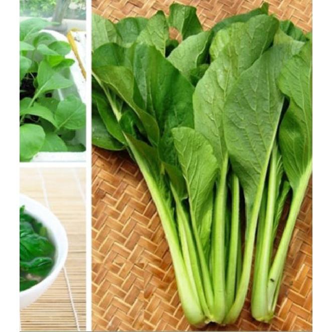 Combo 3 gói hạt giống rau cải ngọt ăn non-gói 10 gram-tặng kèm gói phân bón lót