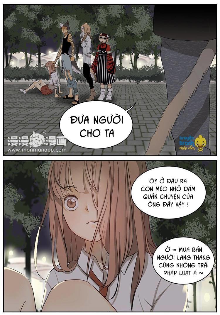 cứu mạng ! loài mèo thống trị thế giới rồi ! chapter 6 8