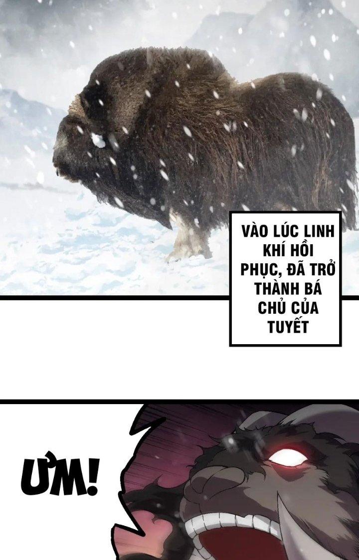 từ cây cổ thụ bắt đầu tiến hóa chapter 82 7