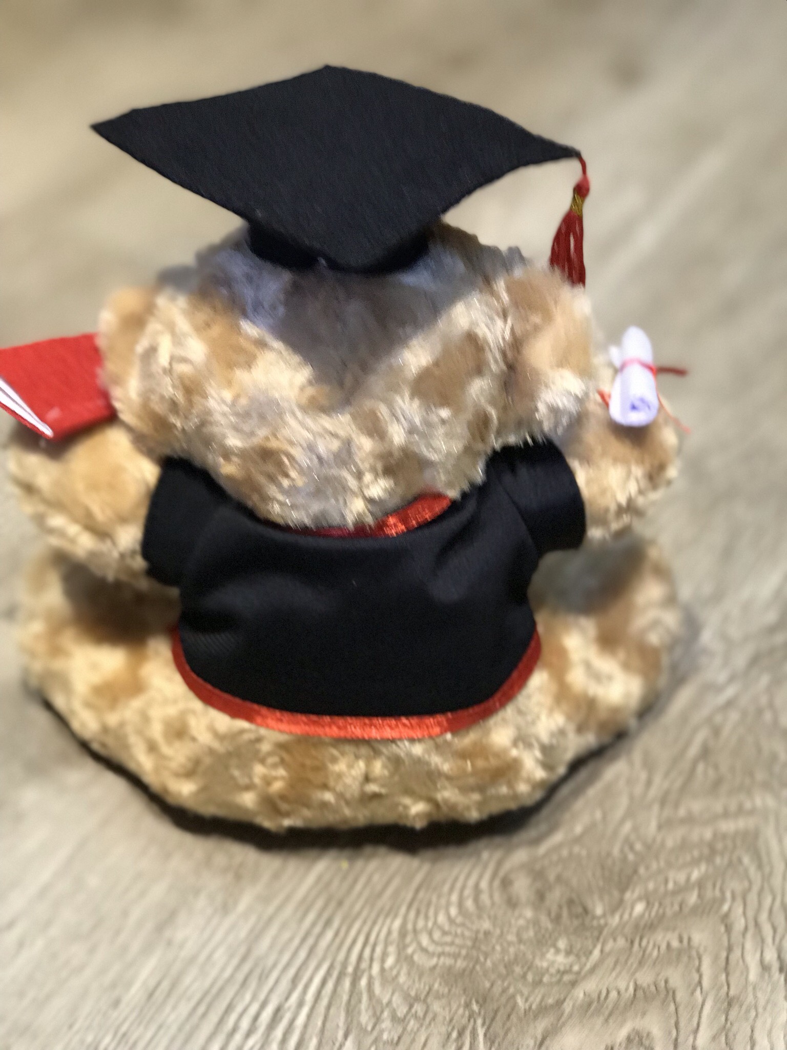 gấu tốt nghiệp size 20 cm lông xù