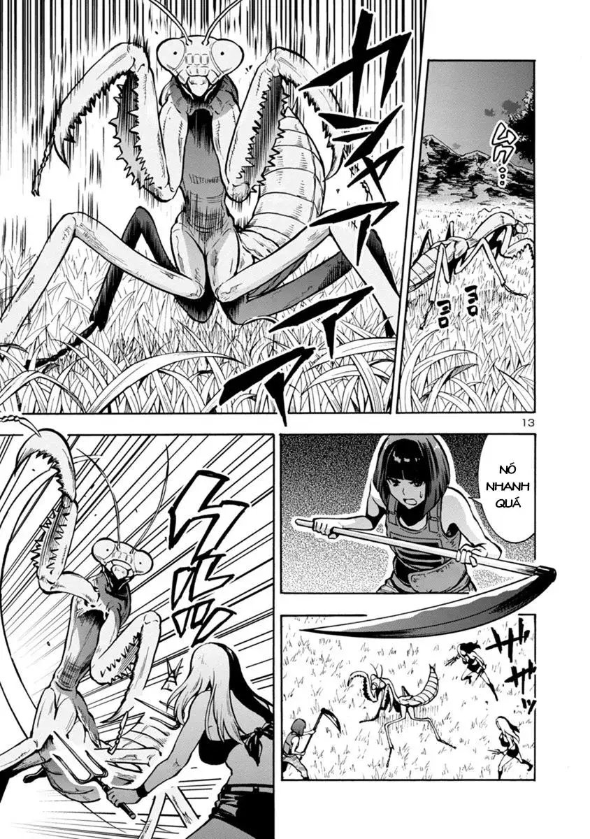 Siêu Đảo Côn Trùng chapter 11.1 13