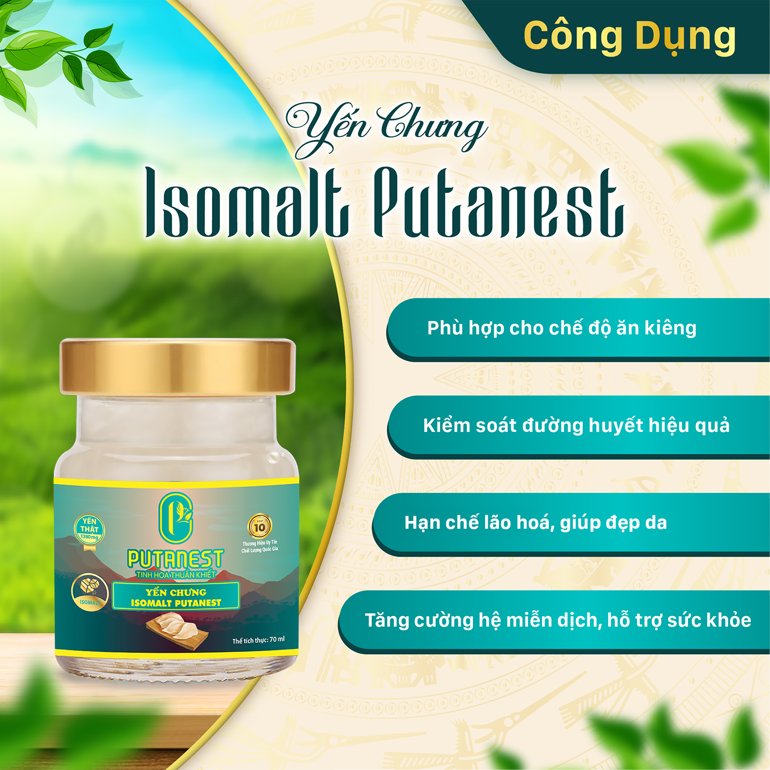Yến chưng Isomalt PUTANEST hộp quà tặng cao cấp 12 hũ 70ml cho người ăn kiêng giữ dáng tiểu đường