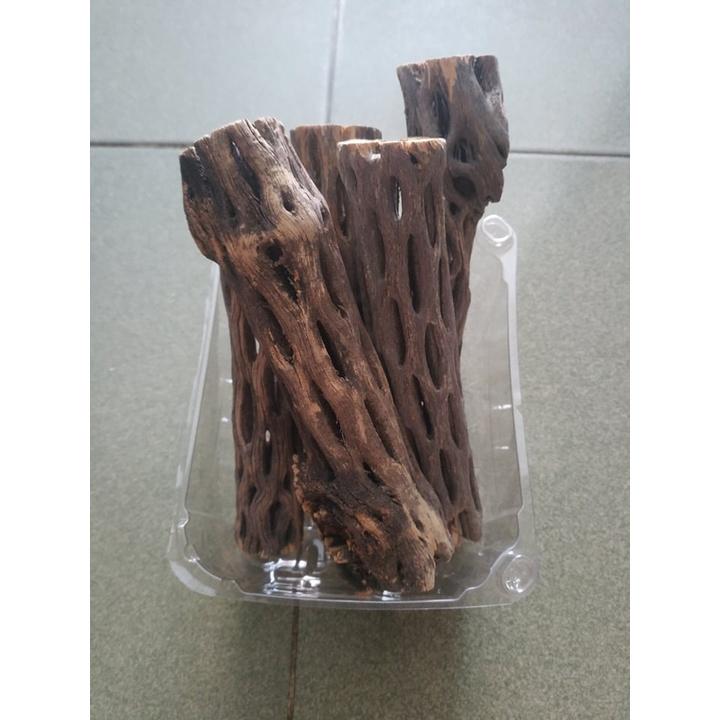 Lũa cholla cho hồ tép