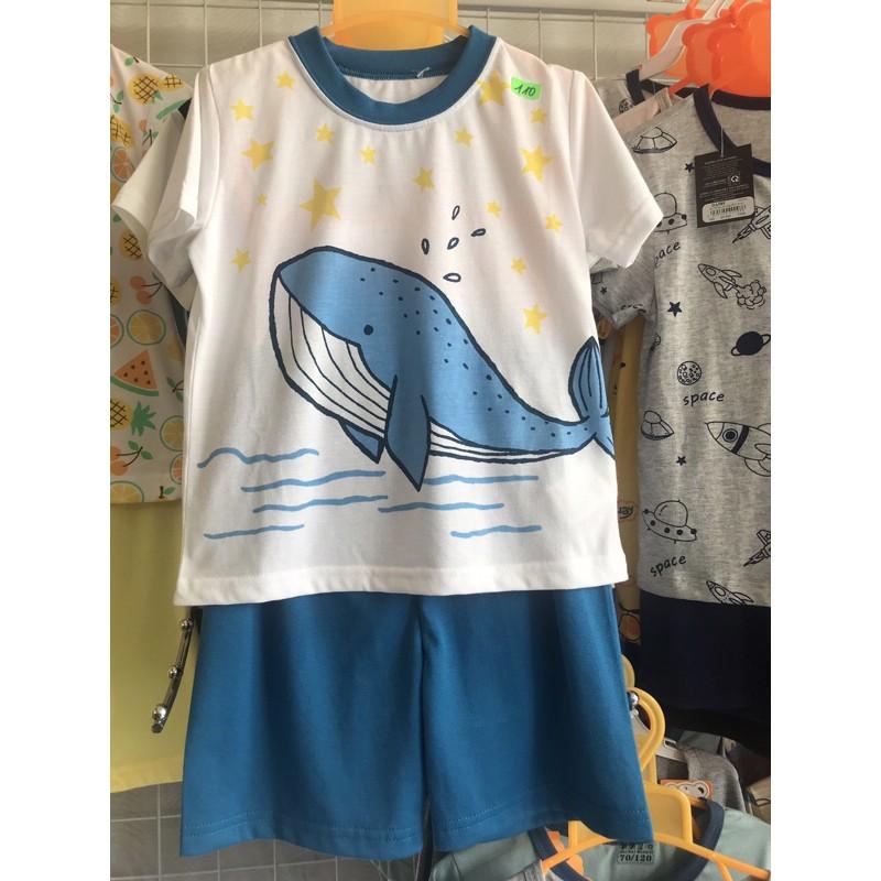 Bộ quần áo cho bé 1-5y