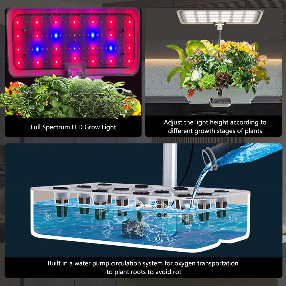 Hệ thống thủy canh thông minh trong nhà có đèn LED giúp cây tăng trưởng tốt