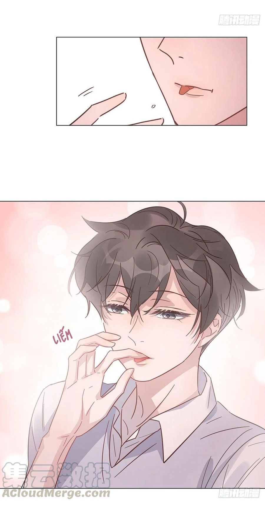 hôm nay nam giả trang nữ vẫn chưa được cầu hôn! chapter 31 12