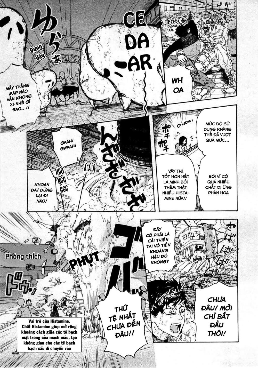 hataraku saibou! chapter 2 24