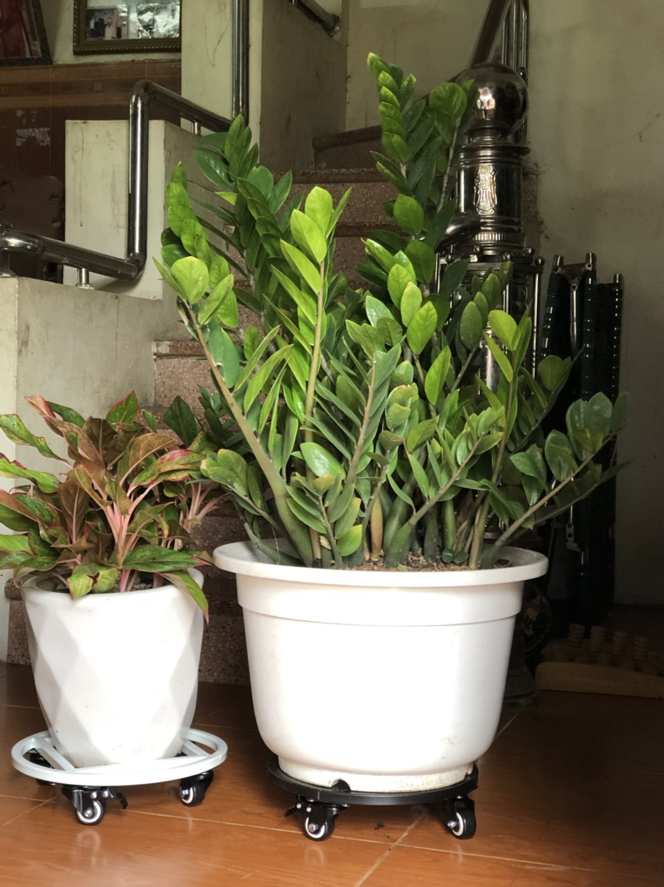 Đế Lót Chậu Cây Có Bánh Xe , Đế Chậu Thông Minh Cao Cấp HTG, Siêu Chắc Khỏe, Có Bánh Xe Di Chuyển, Có Chốt An Toàn, Chịu Lực Đến 200kg, Chất Liệu Hợp Kim Cao Cấp Sơn Tĩnh Điện
