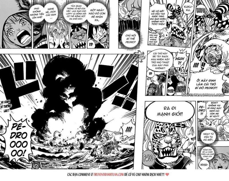 đảo hải tặc - one piece chapter 877 15