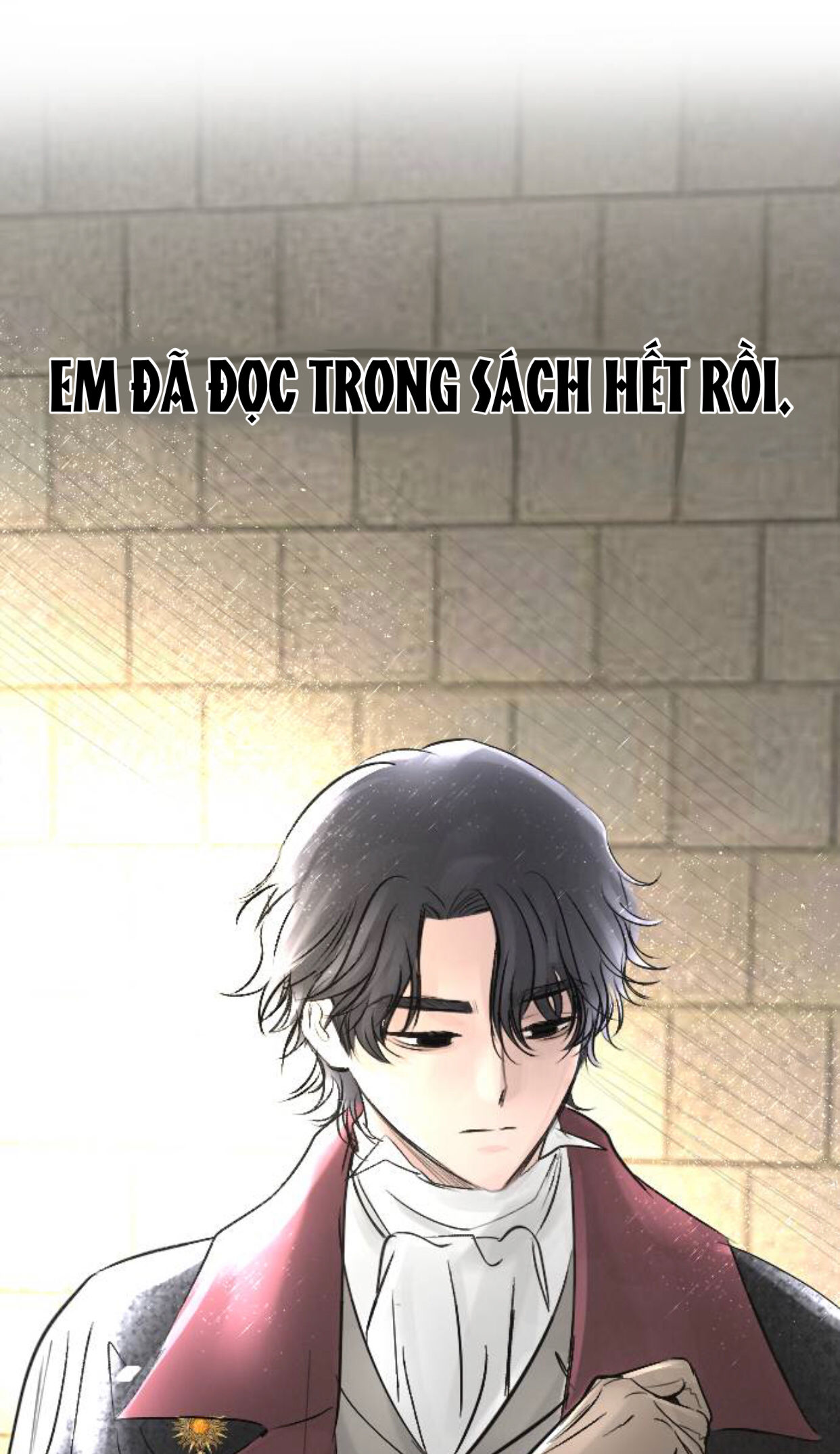 lựa chọn cuối cùng của tôi là nam phụ chapter 9 28