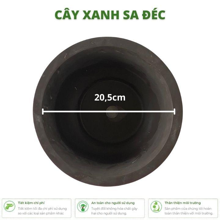 Chậu tròn gốm đất nung hoa văn rồng CK24 trồng cây cảnh, bonsai mini để bàn kích thước 10,5 x 20,5 cm