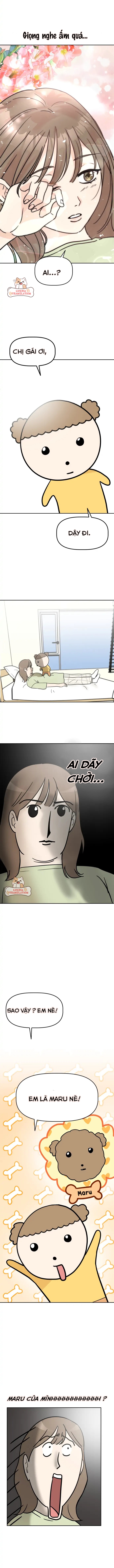 maru là một bé cún chapter 1 12